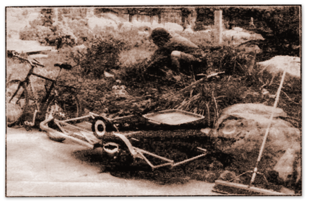 The Silent Gardener article