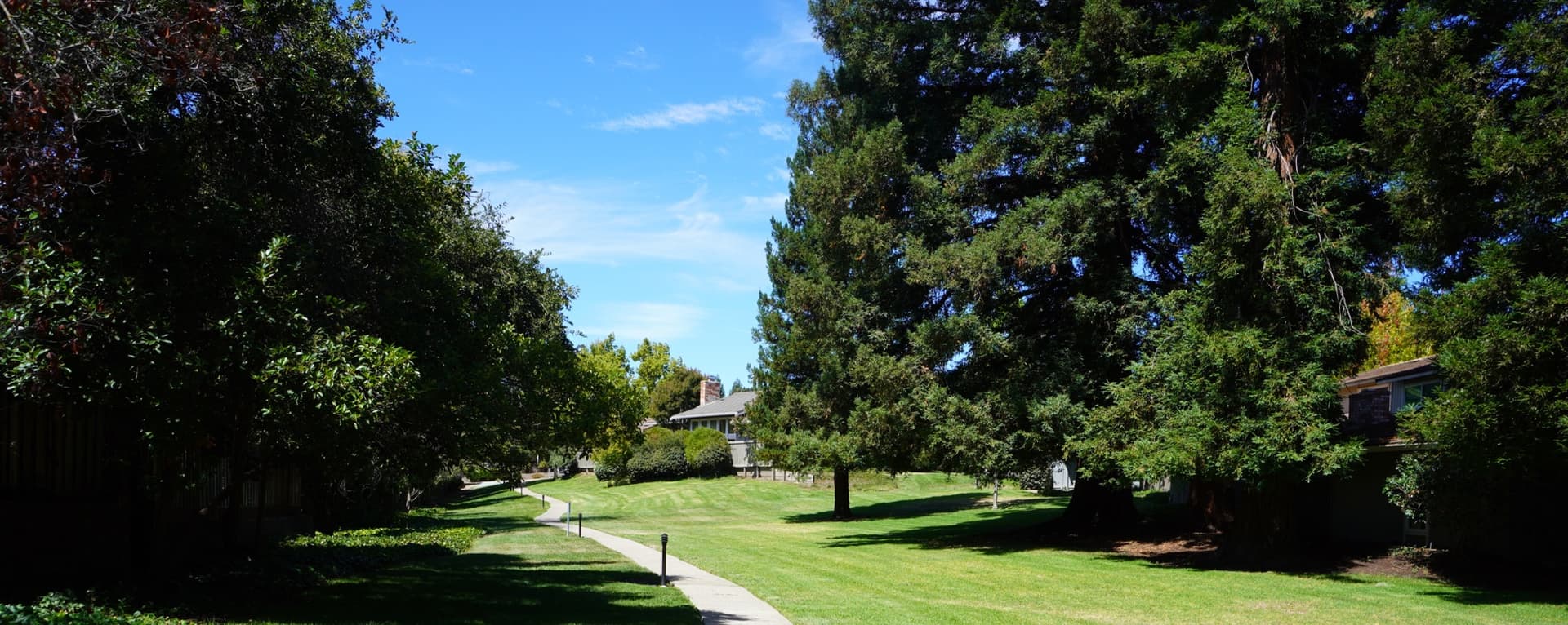 Lawn, walkway, and mature trees on a Central Coast property