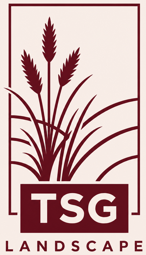 TSG Landscape